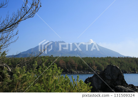 Sakurajima seen from the Lava Beach Promenade Sakurajima seen from the Lava Beach Promenade 131509324