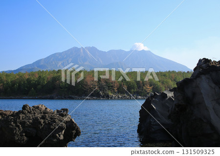Sakurajima seen from the Lava Beach Promenade Sakurajima seen from the Lava Beach Promenade 131509325
