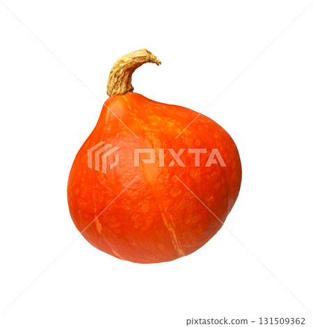 Bright orange pumpkin fresh whole tasty ripe vegetable seasonal image for autumn holiday Thanksgiving and Halloween design, healthy vitamin organic diet, isolated, clipping path, soft selective focus Bright orange pumpkin fresh whole tasty ripe vegetable seasonal image for autumn holiday Thanksgiving and Halloween design, healthy vitamin organic diet, isolated, clipping path, soft selective focus 131509362