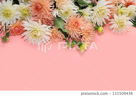 Dahlia flowers frame, abstract floral arrangement, spring or autumn background with place for text, minimal holiday concept, still life, greeting card. selective focus Dahlia flowers frame, abstract floral arrangement, spring or autumn background with place for text, minimal holiday concept, still life, greeting card. selective focus 131509436