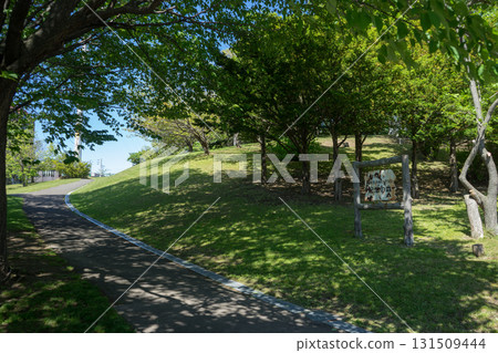 公園風光 公園風光 131509444