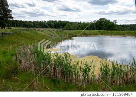 Small pond with algae and boat by grassy shore under cloudy sky Small pond with algae and boat by grassy shore under cloudy sky 131509494