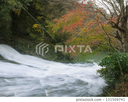 養老谷、養老河、粟又瀑布、瀑布入口 / 日本夷隅市養老谷 養老谷、養老河、粟又瀑布、瀑布入口 / 日本夷隅市養老谷 131509741