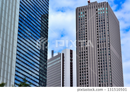 Shinjuku Subcenter: Skyscraper Scenery 131510501