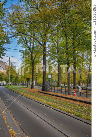 Autumn Tram Tracks Amsterdam Autumn Tram Tracks Amsterdam 131510869