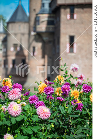 Castle and Dahlias 131510916