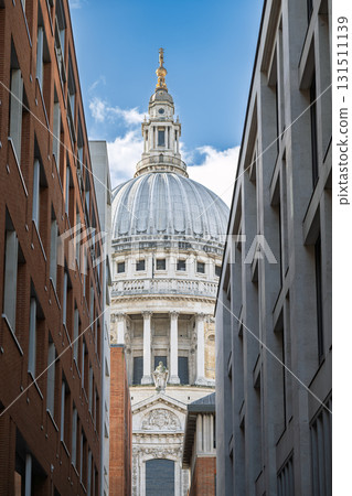 St. Paul's Cathedral View St. Paul's Cathedral View 131511139