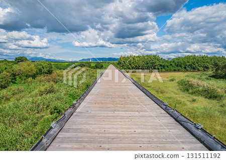 Kozuya Bridge (flowing bridge), a famous spot on the Kizu River, Yawata City, Kyoto Prefecture 131511192