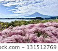 Muhlenbergia and Mt. Fuji 131512769