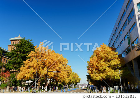 在秋葉季節的橫濱和日本主要街道上的一排銀杏樹 在秋葉季節的橫濱和日本主要街道上的一排銀杏樹 131512815