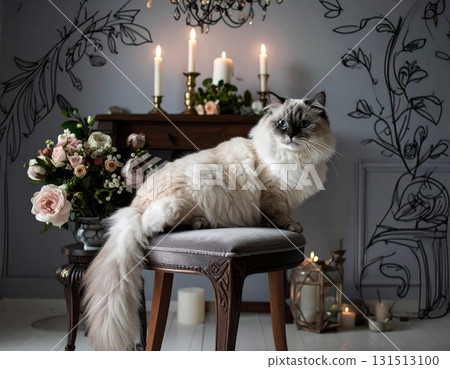 An elegant cat illuminated by candlelight 131513100