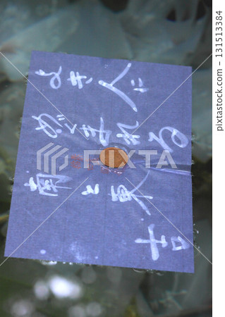 Yaigaki shrine's mirror pond fortune telling 131513384