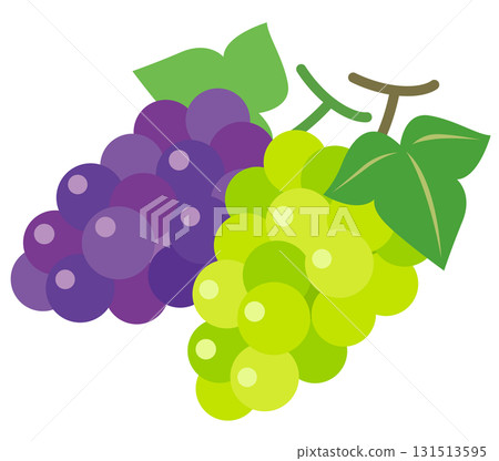 Grape Muscat 131513595