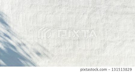 植物影光陽光 131513829