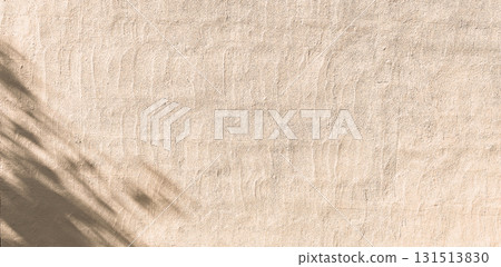 植物影光陽光 植物影光陽光 131513830