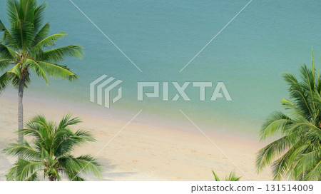 beautiful beach with palm tree and white sand in summertime 131514009