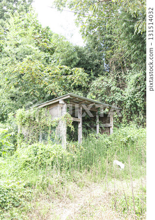 腐爛的廢棄房屋 131514032