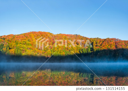 中綱湖（秋季） 131514155