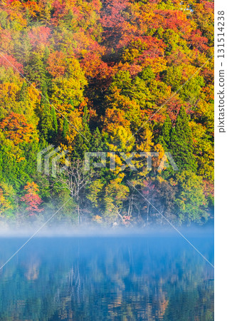 中綱湖（秋季） 131514238