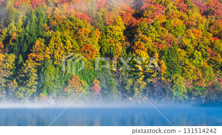 中綱湖（秋季） 131514242