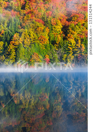 中綱湖（秋季） 131514244