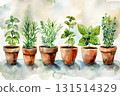 Hand-drawn style: watercolor paintings of herbs such as mint and rosemary 131514329