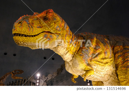 Tyrannosaurus 5 Tyrannosaurus 5 131514696