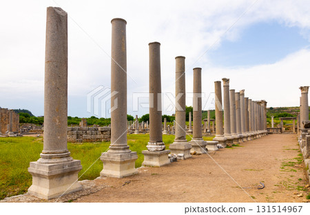 Remains of stone columns of Agora in ancient settlement of Perga, Turkey 131514967