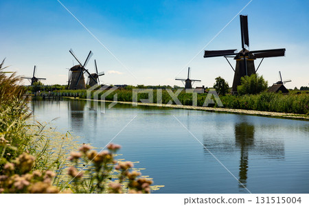 System of ancient windmills ar Kinderdijk, Netherlands System of ancient windmills ar Kinderdijk, Netherlands 131515004