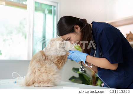 Veterinary care. A veterinarian examining a cat in a clinic with compassion and professionalism. Veterinary care. A veterinarian examining a cat in a clinic with compassion and professionalism. 131515233