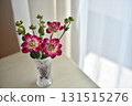 Dahlia flowers by the window 131515276