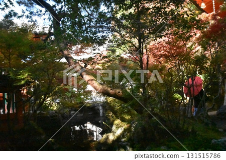 Bishamondo Temple in autumn colors Bishamondo Temple in autumn colors 131515786