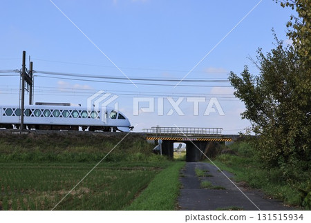 Tobu's Spacia X express train on the Nikko Line 131515934