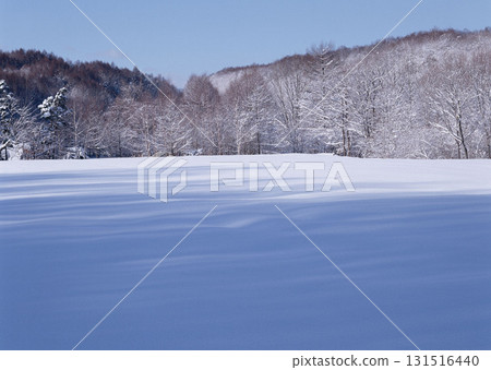 Material Dictionary Vol.94 Landscape of the Four Seasons and Peace. High quality photo 131516440