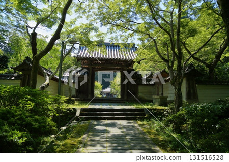 清爽的山門藍楓 清爽的山門藍楓 131516528
