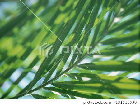 Material Dictionary Vol.94 Landscape of the Four Seasons and Peace. High quality photo 131516530