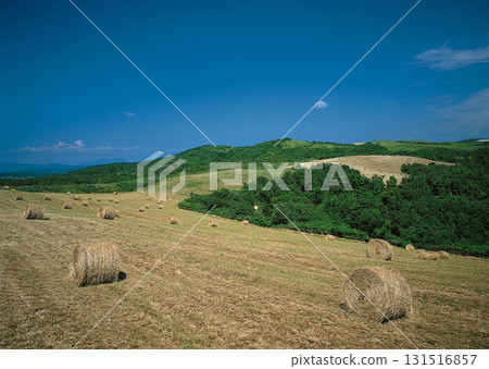 Material Dictionary Vol.94 Landscape of the Four Seasons and Peace. High quality photo 131516857