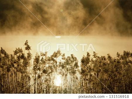 Dictionary of Materials Vol.146 Four Seasons. Japanese Flowers and Trees. High quality photo 131516918