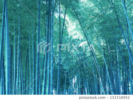 Dictionary of Materials Vol.146 Four Seasons. Japanese Flowers and Trees. High quality photo Dictionary of Materials Vol.146 Four Seasons. Japanese Flowers and Trees. High quality photo 131516952