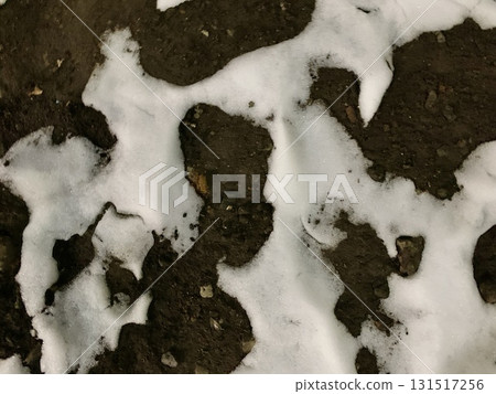 庫存照片: 下雪天的人蹤影 131517256