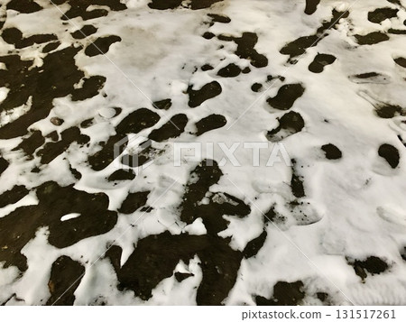 庫存照片: 下雪天的人蹤影 131517261