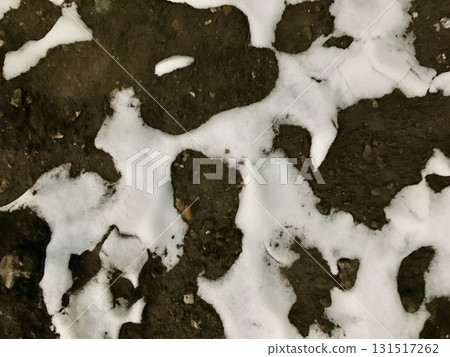 庫存照片: 下雪天的人蹤影 131517262