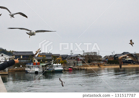 天橋立遊覽船餵食場景（京都府宮津市） 131517787