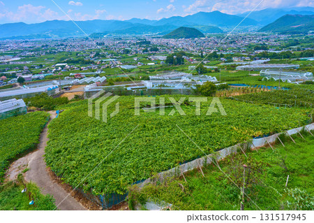 Northwest view from Ushioku Miharashi Hill in Koshu City, Yamanashi Prefecture Northwest view from Ushioku Miharashi Hill in Koshu City, Yamanashi Prefecture 131517945