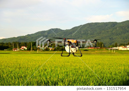 Recent Agriculture Chemical Spraying (Stink Bug Control) Recent Agriculture Chemical Spraying (Stink Bug Control) 131517954