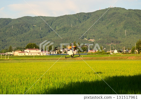 近期農業化學噴灑（臭蟲防治） 131517961