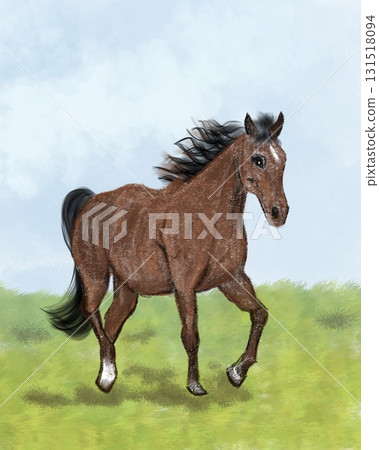 Illustration of a horse running on a meadow 131518094