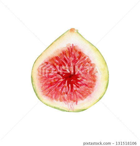 Fresh fig half, vibrant red pulp, green peel. Hand-painted watercolor illustration isolated on white. Fruit clipart for food design, organic label, healthy lifestyle project, kitchen print, botanical Fresh fig half, vibrant red pulp, green peel. Hand-painted watercolor illustration isolated on white. Fruit clipart for food design, organic label, healthy lifestyle project, kitchen print, botanical 131518106
