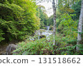 Tateshina Oshidori Hidden Waterfall 131518662