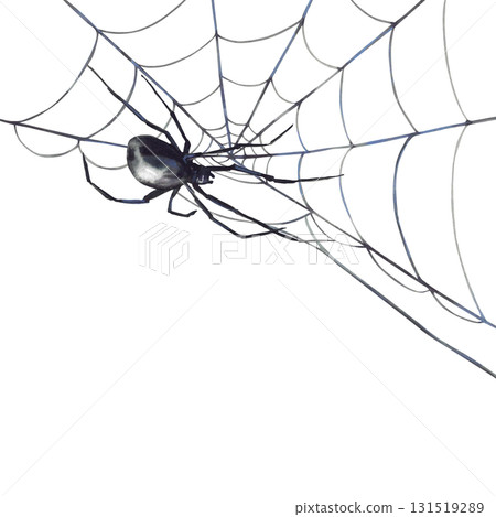 Spider hanging, crawling on a web. Gothic black grey Halloween decoration. Hand drawn Watercolor illustration for party card, invitation, Horror design element. Isolated on white background clipart  Spider hanging, crawling on a web. Gothic black grey Halloween decoration. Hand drawn Watercolor illustration for party card, invitation, Horror design element. Isolated on white background clipart  131519289